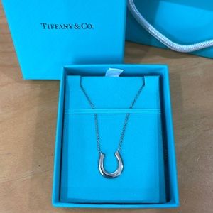 Tiffany & Co. rare lucky 1837 sterling silver horseshoe pendant necklace 17”-18”